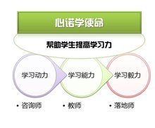 成都心诺学教育咨询 打造高效办公服务新标杆
